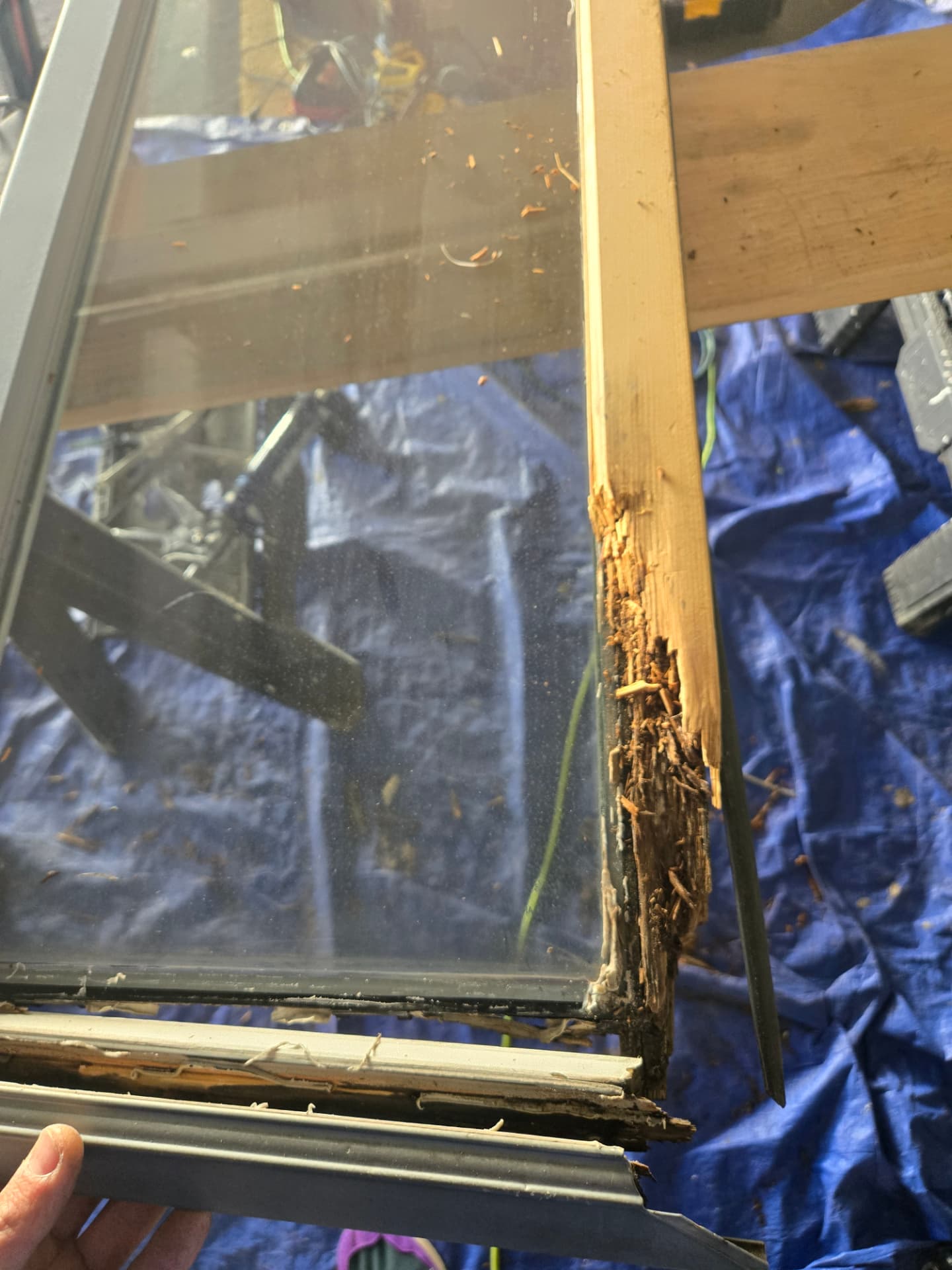 Rotten Wood